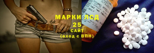 прущие грибы Алзамай