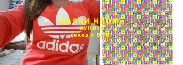 прущие грибы Алзамай
