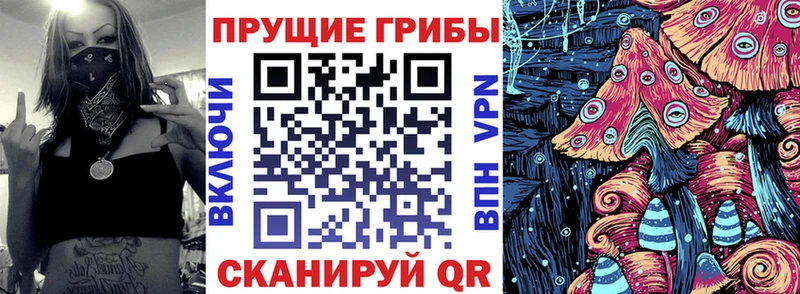 Псилоцибиновые грибы Psilocybine cubensis  дарк нет формула  Волжский  купить наркоту 