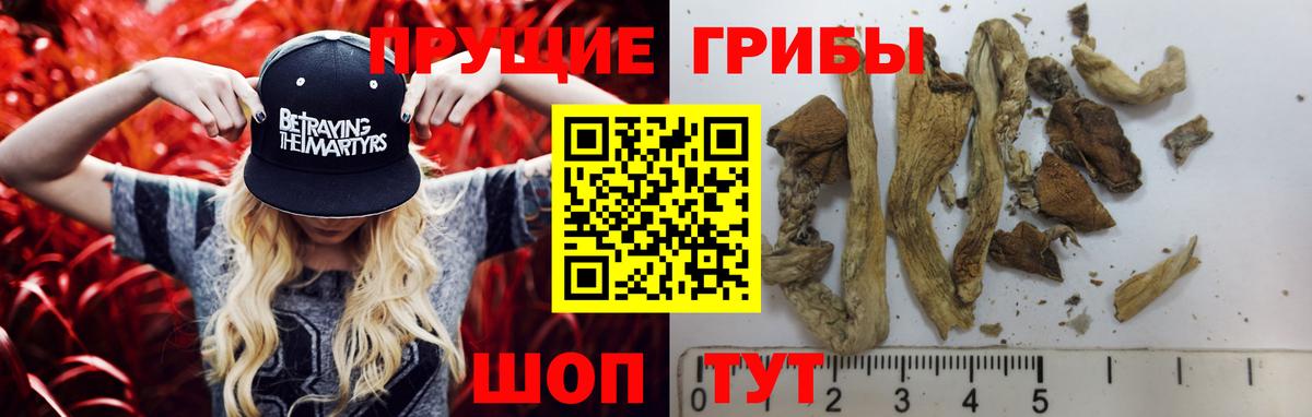 где купить наркотик  Псилоцибиновые грибы прущие грибы  Вход с VPN  Волжский 